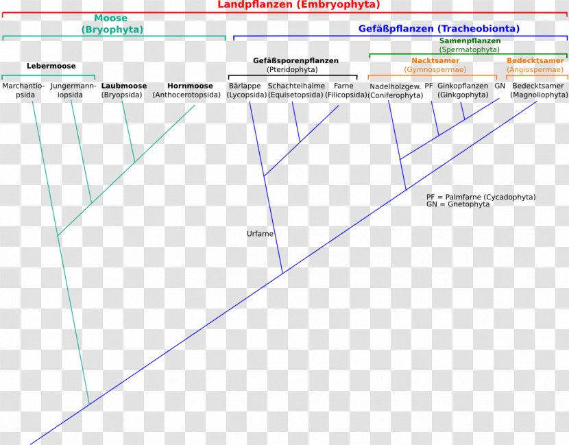 Line Angle Point Document - Plot Transparent PNG