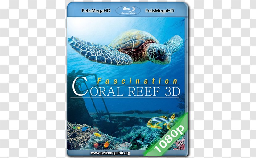Blu-ray Disc 3D Film 1080p Digital Copy Documentary - Watercolor - Coral Reef Drawing Transparent PNG
