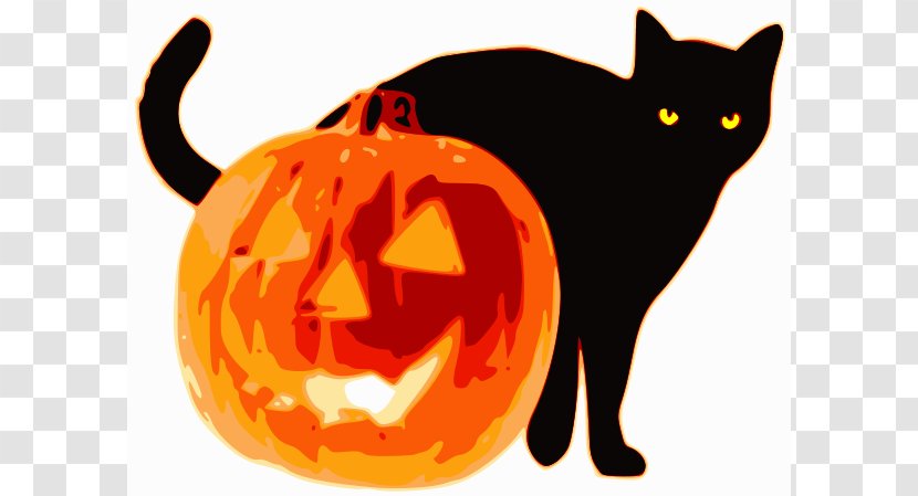 Cat Pumpkin Halloween Jack-o-lantern Clip Art - Public Domain - Jack O Lantern Clipart Transparent PNG