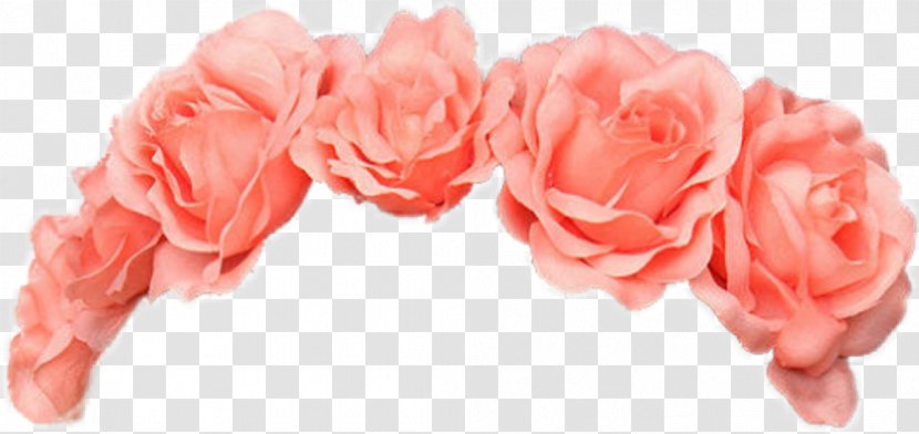 Wreath Flower Crown - Pink Transparent PNG