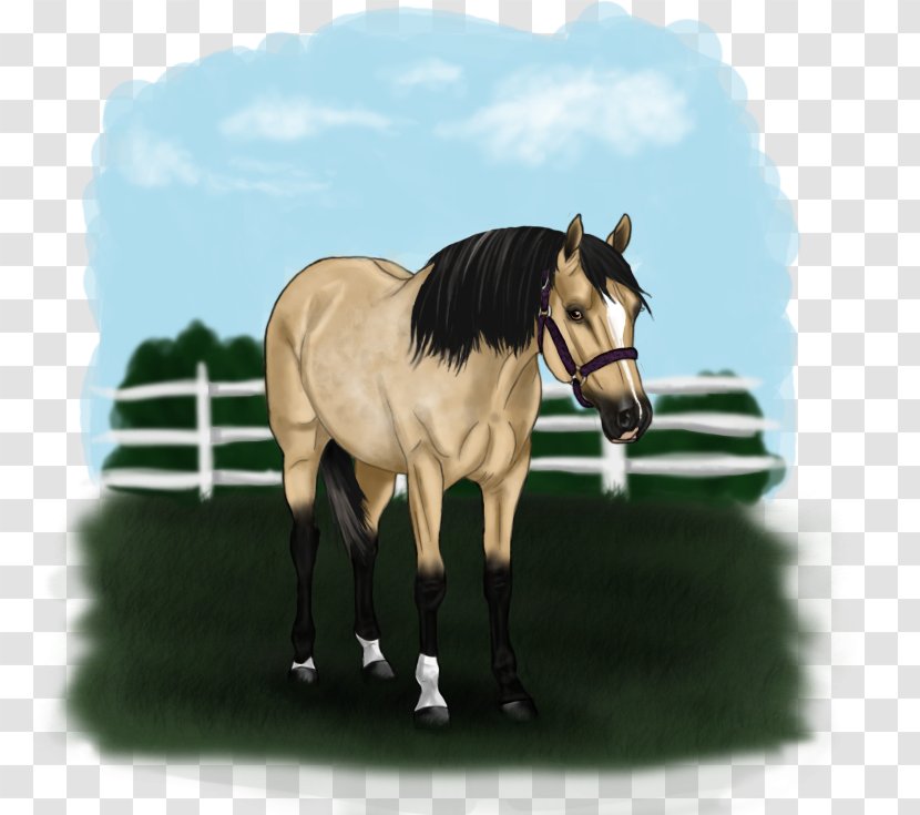 Foal Rein Mare Mustang Mane - Horse - Shining Spark Offspring Transparent PNG