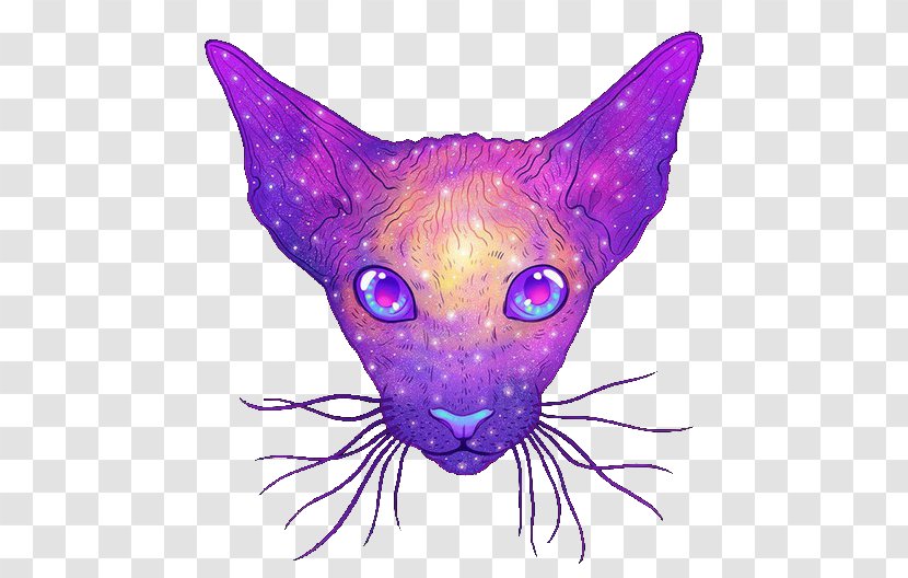 American Bobtail Shorthair Dragon Li Kurilian Snout Purple Transparent Png