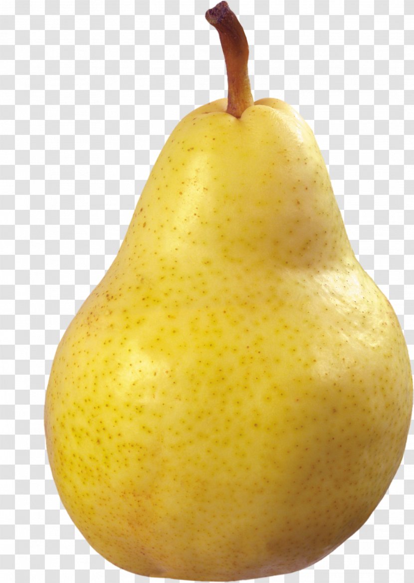Asian Pear Fruit - Picture Transparent PNG