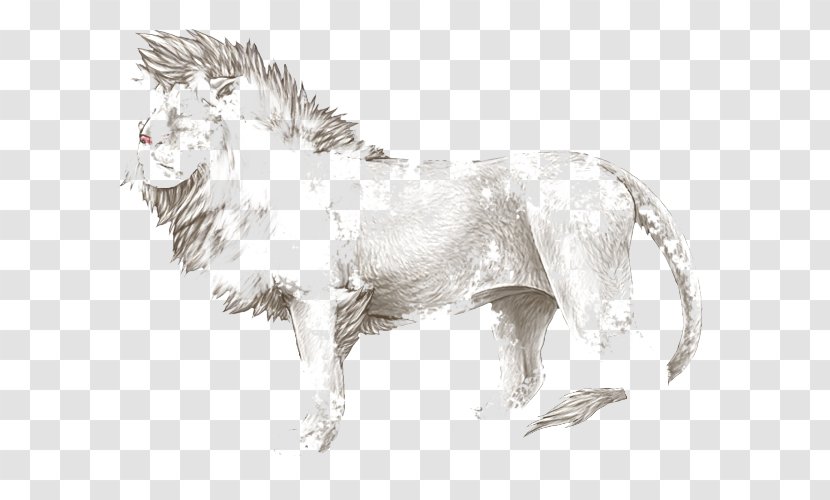 Lion Dog Cat Canidae Terrestrial Animal - Big Transparent PNG