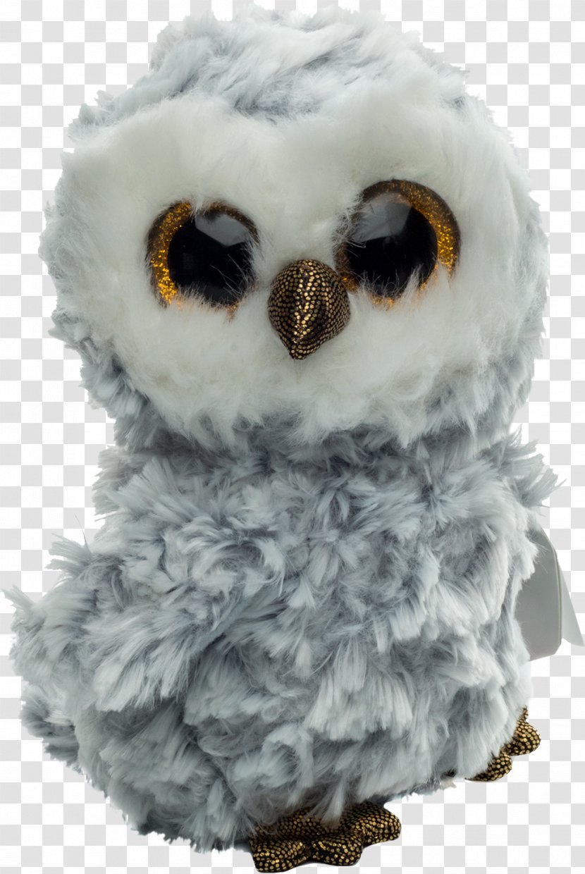 Owl Beak Feather Fur Transparent PNG