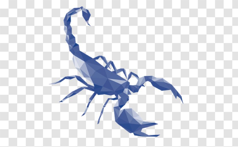 Scorpion Marketing Laguna Los Angeles Barbecue 0 Advertising Agency Transparent PNG