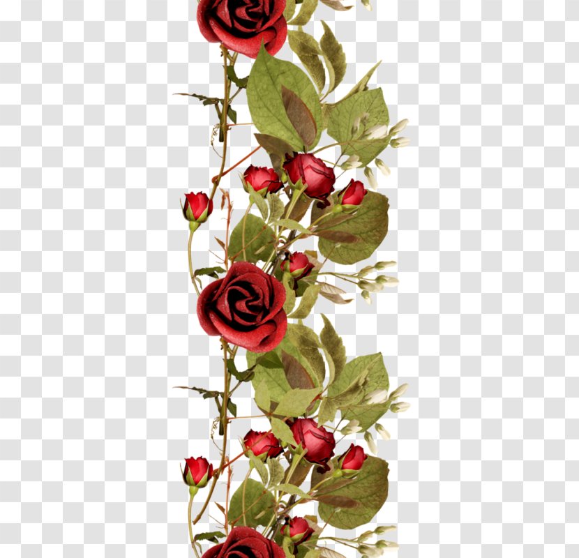 Beach Rose Rosa Chinensis Multiflora - Flower Bouquet - A With Thorns Transparent PNG