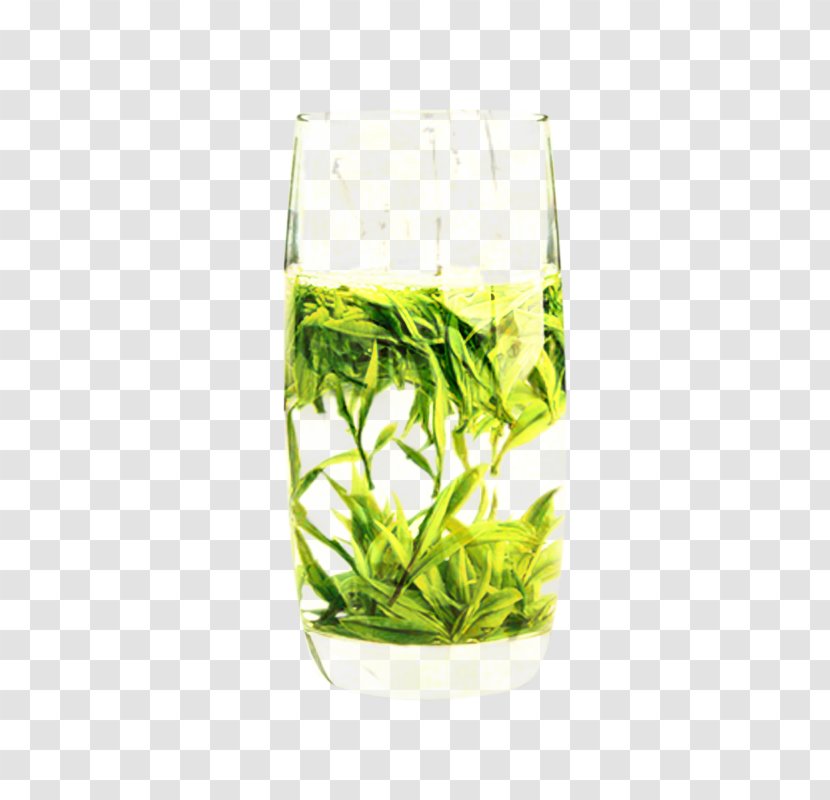 Grass Cartoon - Family - Chlorophyta Houkui Tea Transparent PNG