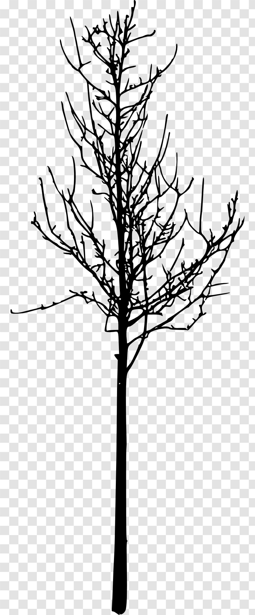 Silhouette Image Clip Art Tree - Plant - Blackandwhite Transparent PNG