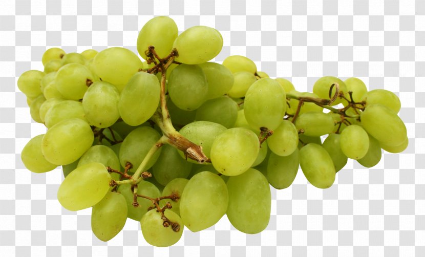 Sultana Juice Grape - Food - Green Grapes Transparent PNG