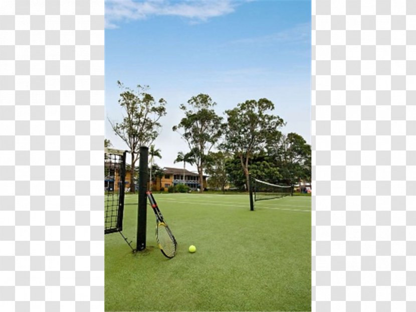 Playground Real Property Land Lot Tree Transparent PNG