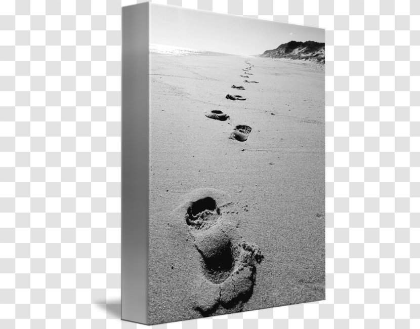 White - Monochrome - Beach Footprints Transparent PNG