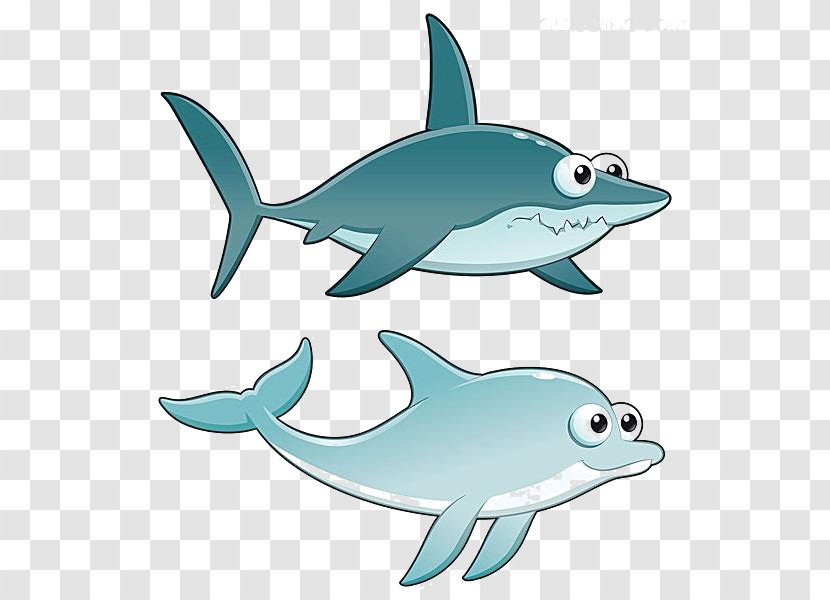 Shark Dolphin Royalty-free Illustration - Cartilaginous Fish - Creative Cartoon Transparent PNG