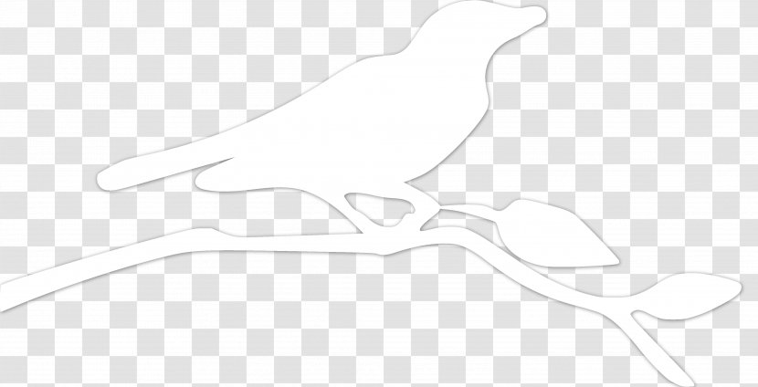 Beak Line Art Drawing - Overlapping Bird Transparent PNG