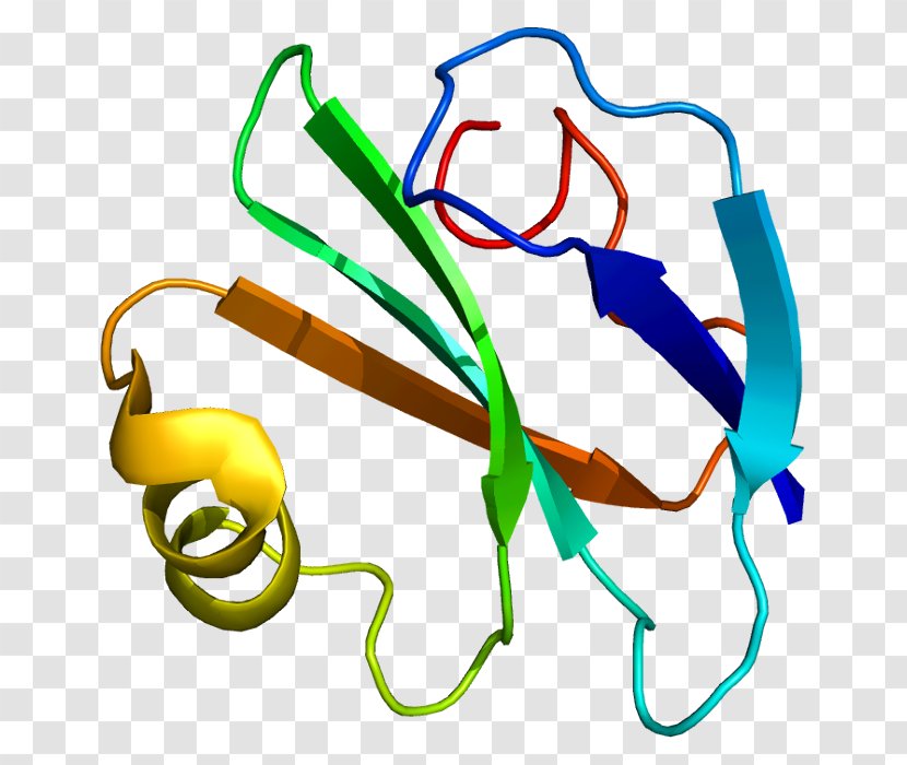 CD59 Complement System Protein Decay-accelerating Factor Glycosylphosphatidylinositol - Membrane - Gene Transparent PNG