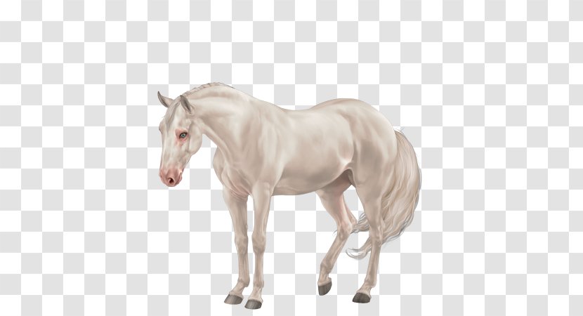 Mane Mustang Foal Stallion Colt - Animal Figure - Tennessee Walking Horse Transparent PNG