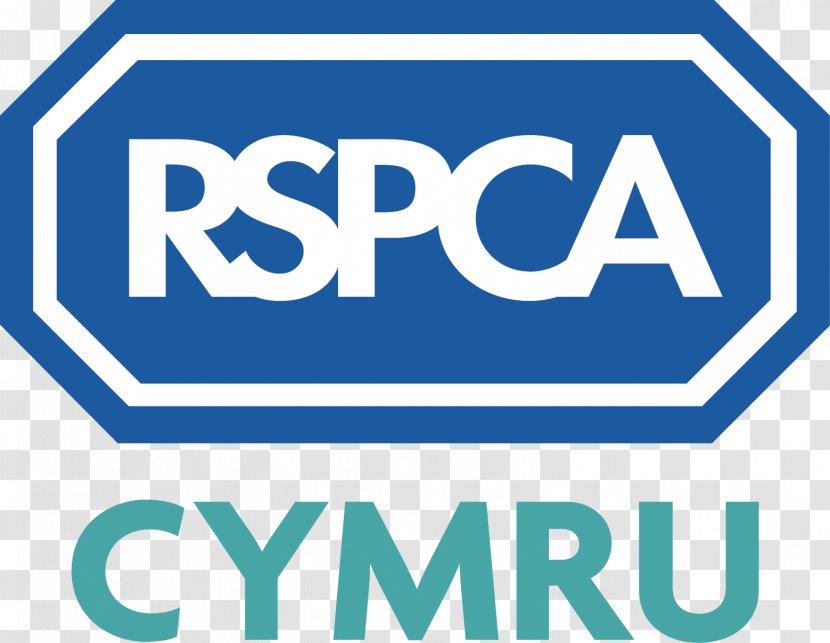 Cat Dog RSPCA Royal Society For The Prevention Of Cruelty To Animals Charitable Organization - Veterinarian Transparent PNG