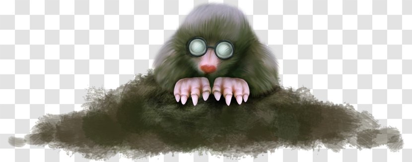 Gorilla Monkey - Head - Bespectacled Little Transparent PNG