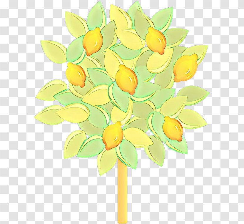Yellow Green Plant Leaf Flower - Cartoon - Cut Flowers Citrus Transparent PNG