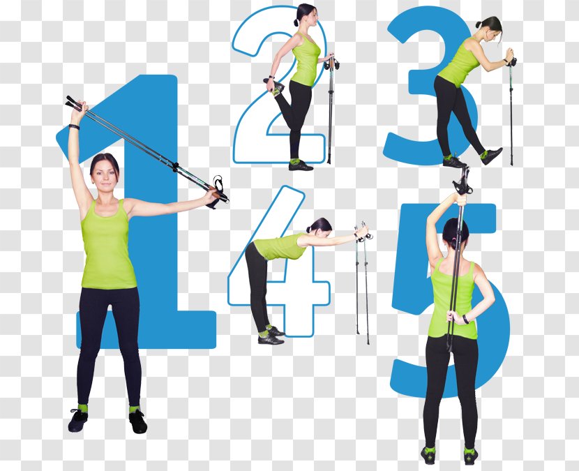 Nordic Walking Warming Up Bastone Exercise - Muscle - Warm-up Transparent PNG