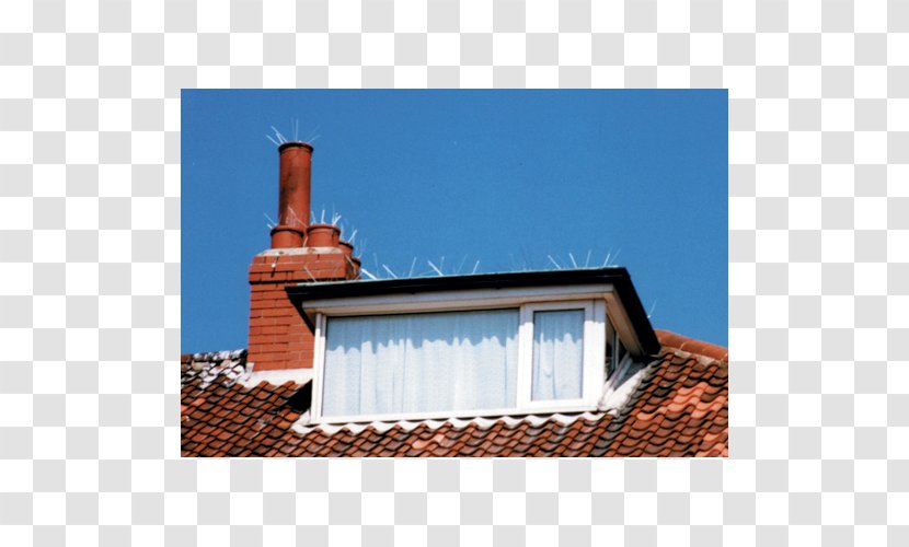 Chimney Roof Bird Control Pest - Sky - Wooden Indicator Board Transparent PNG