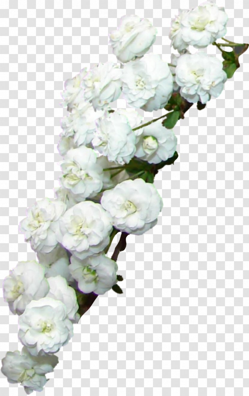 Flower Photography Clip Art - Bouquet - Sprinkles Transparent PNG