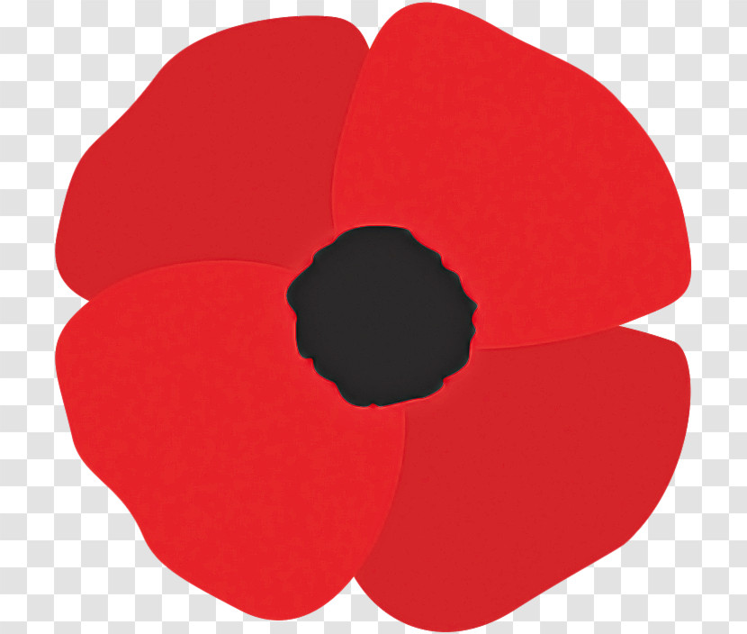 Red Petal Poppy Coquelicot Poppy Family Transparent PNG