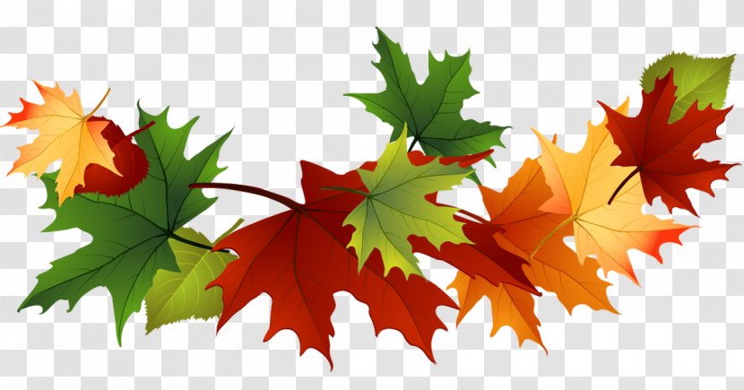 Clip Art Image Autumn Leaf Color Transparent PNG