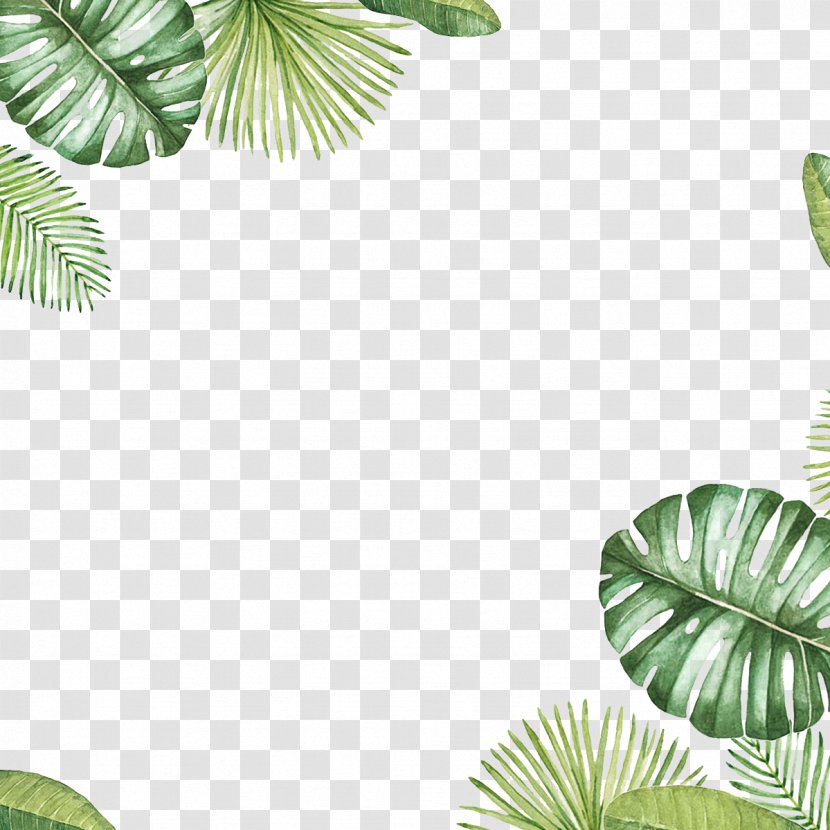 Leaf Clip Art - Green Leaves Transparent PNG