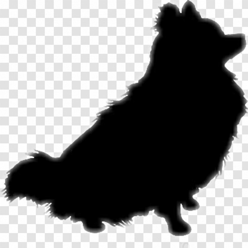 German Spitz Klein Pomeranian Schipperke Puppy - Pennant Transparent PNG