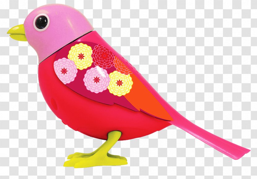 Toy Amazon.com KING JOUET Bird - Animal Figure Transparent PNG