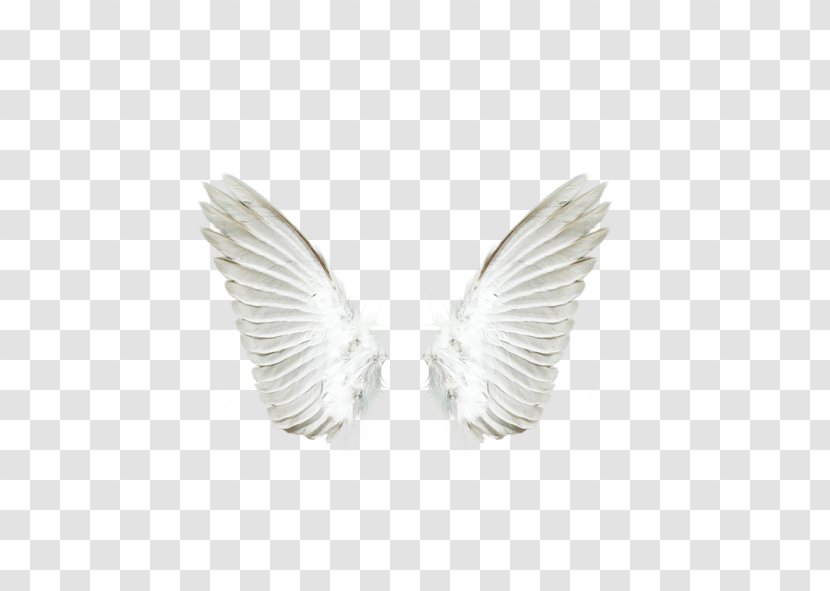 Angel Download - Silver - White Wings Transparent PNG