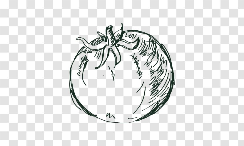 Apple Tree Drawing - Salmorejo - Fruit Transparent PNG