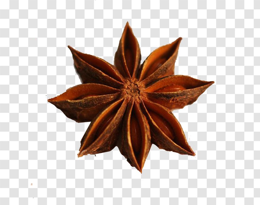 Logo Photography Illustration - A Star Anise Transparent PNG