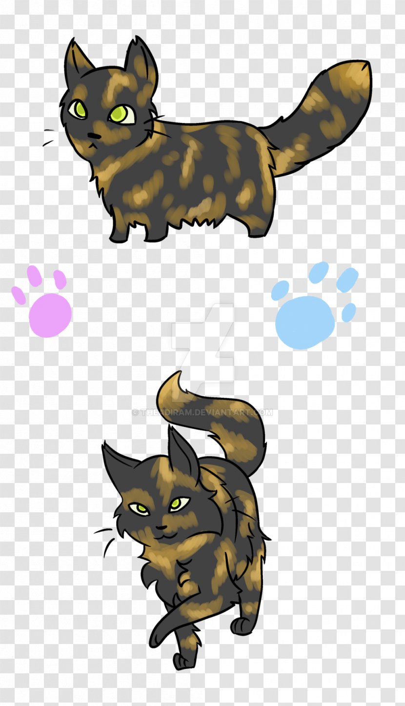 Whiskers Cat Canidae Dog Insect Transparent PNG