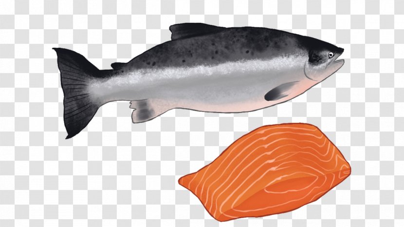 Coho Salmon Fish Products As Food Oily - Alaska Cruise Ship Transparent PNG