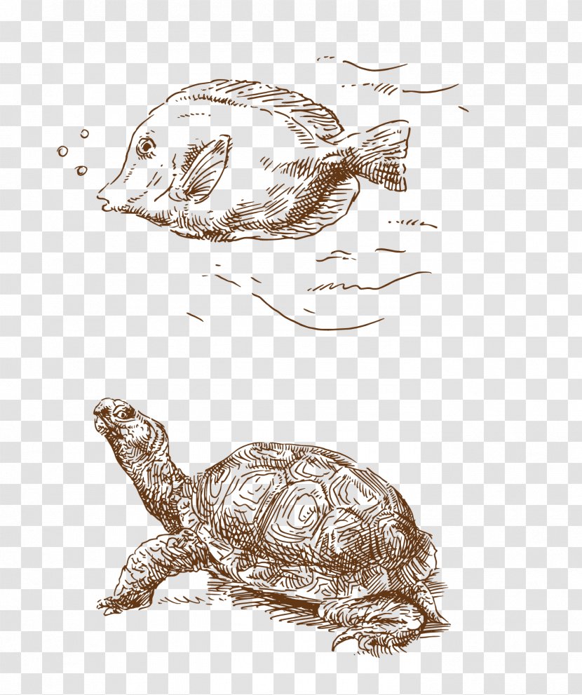 Beach Euclidean Vector Work Of Art - Turtle - Animal Artwork Transparent PNG