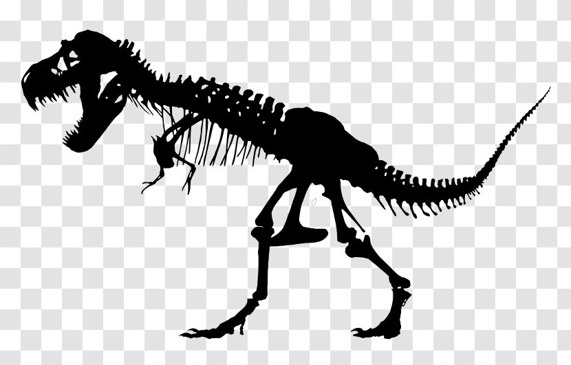 Specimens Of Tyrannosaurus Skeleton Sue Triceratops - Rex Transparent PNG