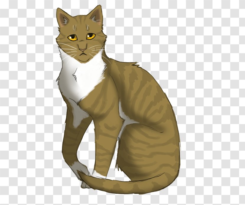 Warriors Cat Leafpool Erin Hunter Jayfeather - Paw Transparent PNG