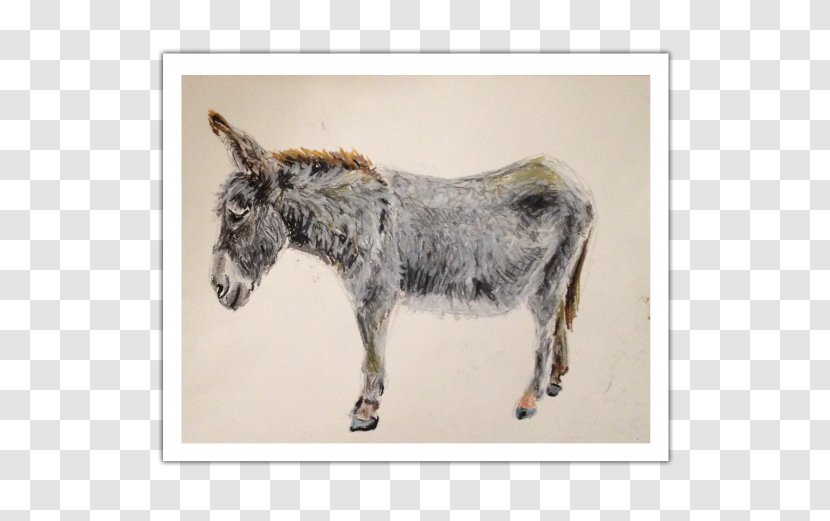 Mule Donkey Fauna Snout Wildlife - Horse Like Mammal - Watercolor Pastel Transparent PNG