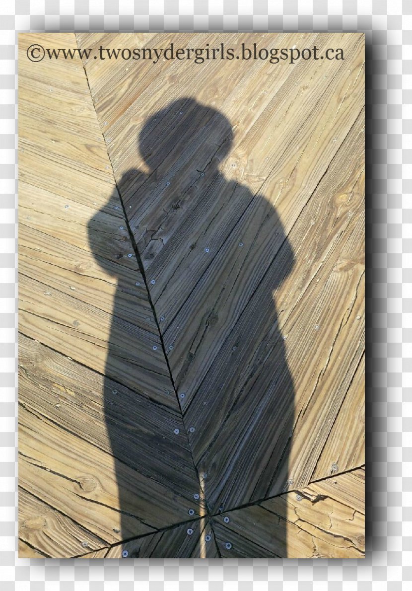 Plywood Wood Stain Angle - Grandparent Grandchild Transparent PNG
