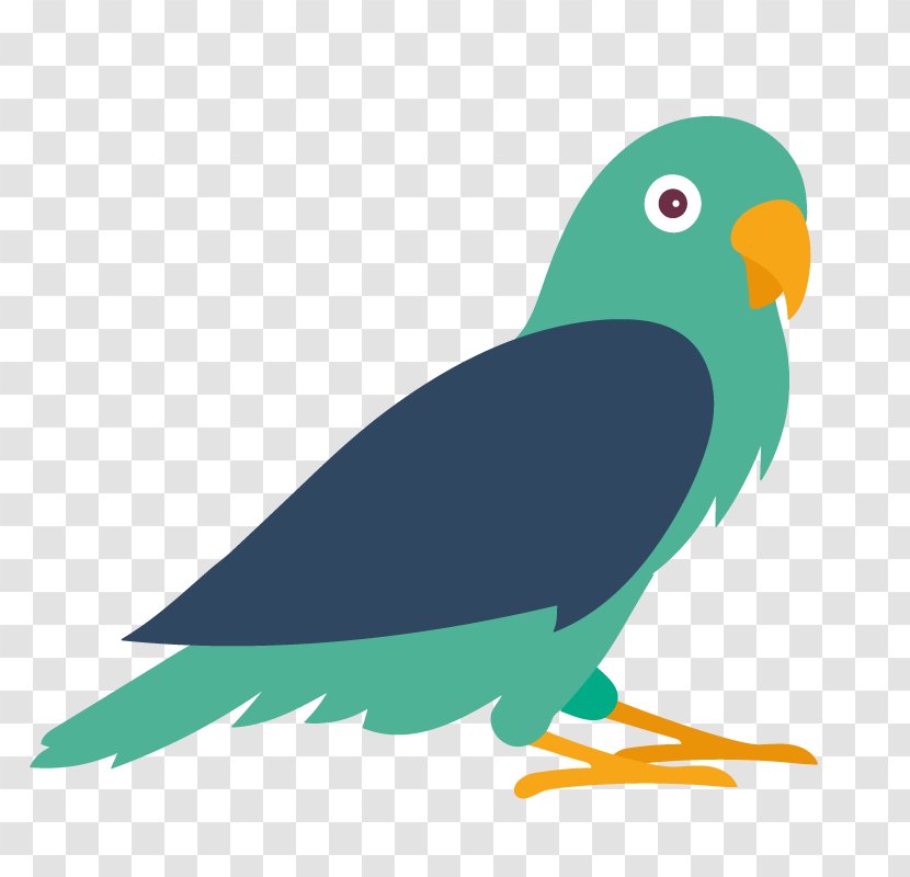 Budgerigar Lovebird Parrot Macaw - Wing - Bird Of Prey Transparent PNG