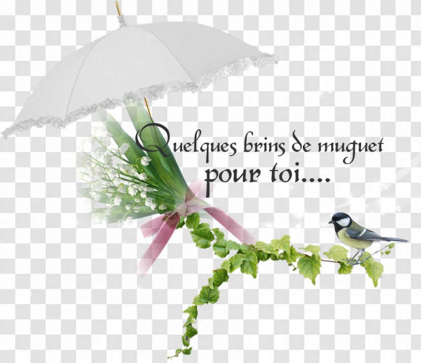 Twig Bird Leaf Font - Flora Transparent PNG