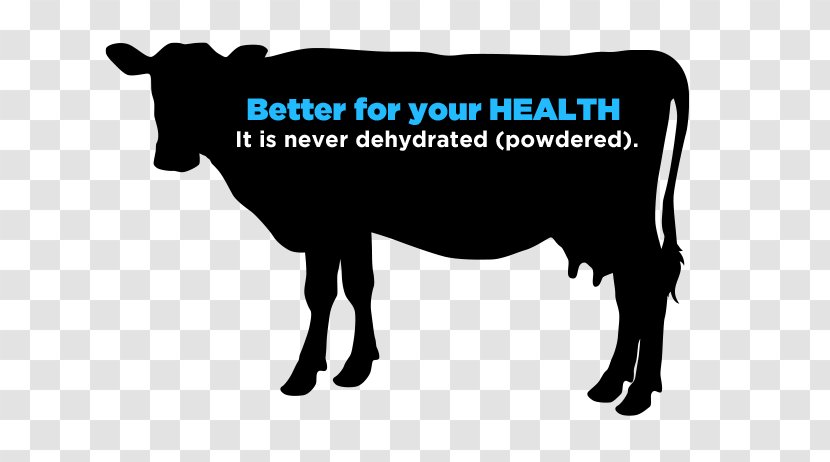 Dairy Cattle Ox Taurine Bull Clip Art - DRINKING MILK Transparent PNG