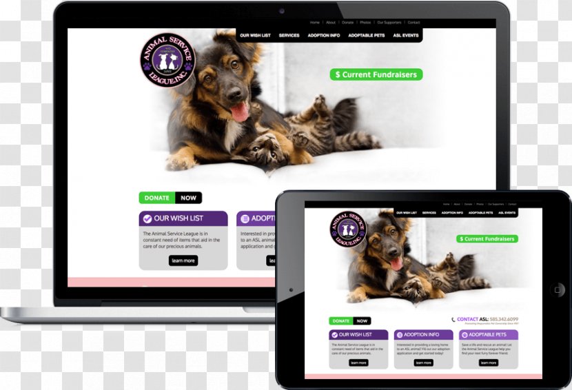 Dog Cat Puppy Air Buddies Multimedia - Like Mammal Transparent PNG