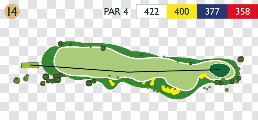 Abbeville Golf Course Clubs Accommodation - Little Owl Transparent PNG