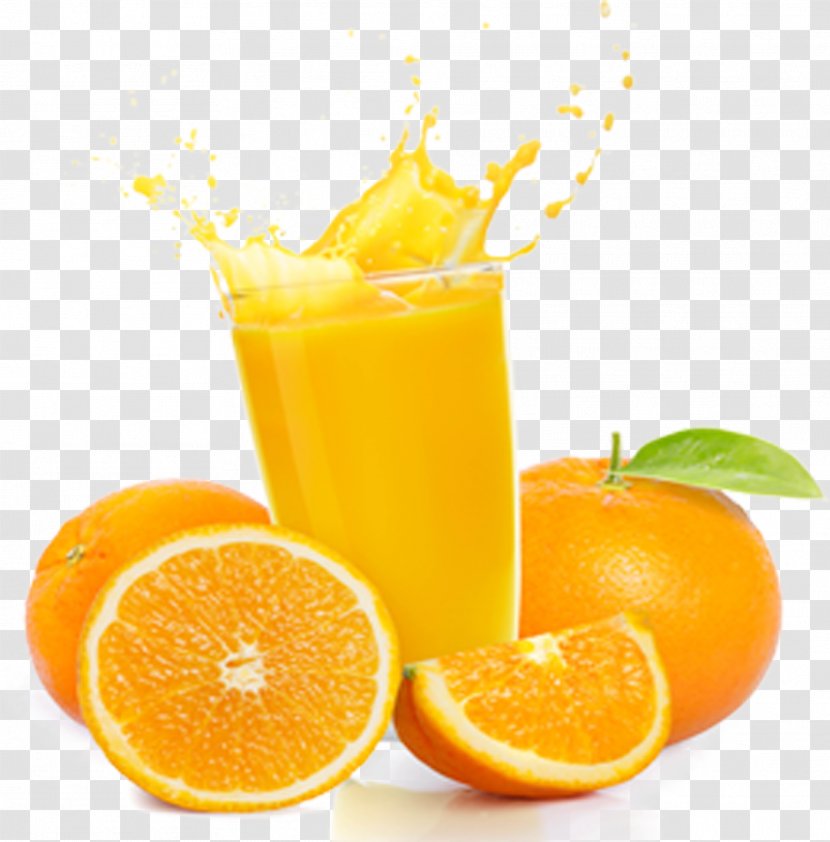 Orange Juice Soft Drink - Drinking - Oranges And Transparent PNG