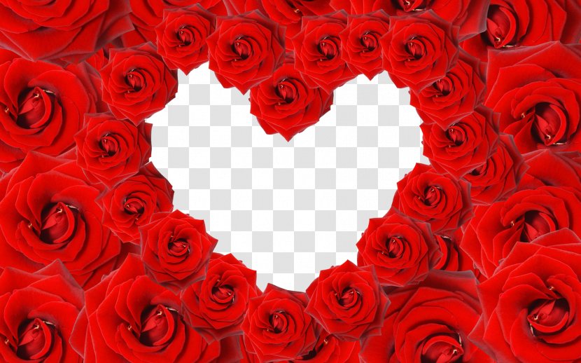 Heart Rose Valentines Day Wallpaper - Flower - Love Border Transparent PNG