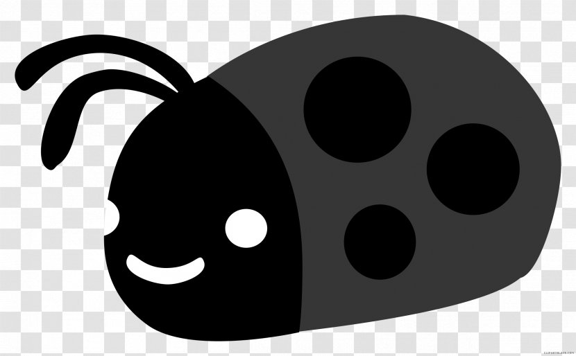 Ladybird Beetle Clip Art Vector Graphics Image - Snout - Insect Transparent PNG