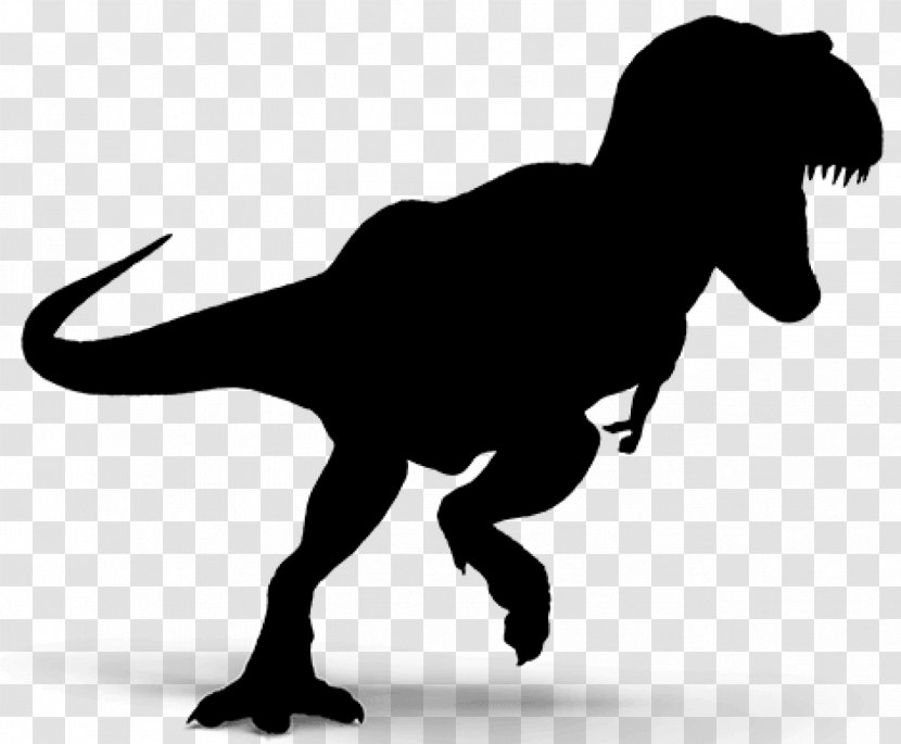Tyrannosaurus Dinosaur Vector Graphics Spinosaurus Image - Royaltyfree - Organism Transparent PNG